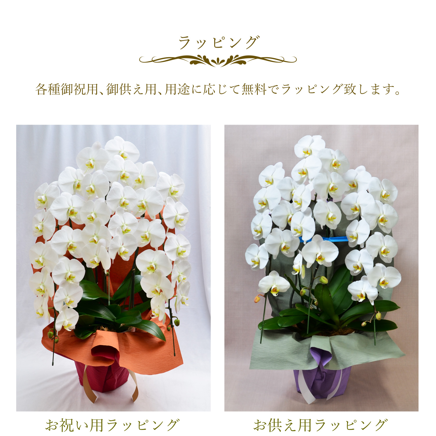 �Ӓ���3�{��35�ֈȏ�