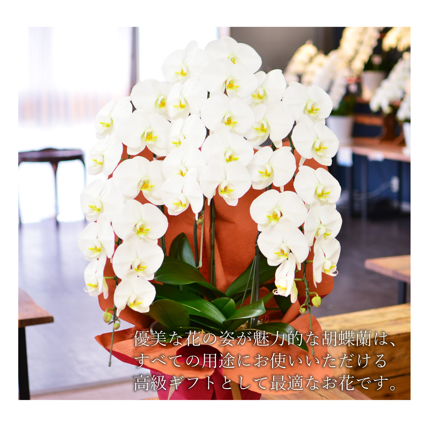 �Ӓ���3�{��35�ֈȏ�