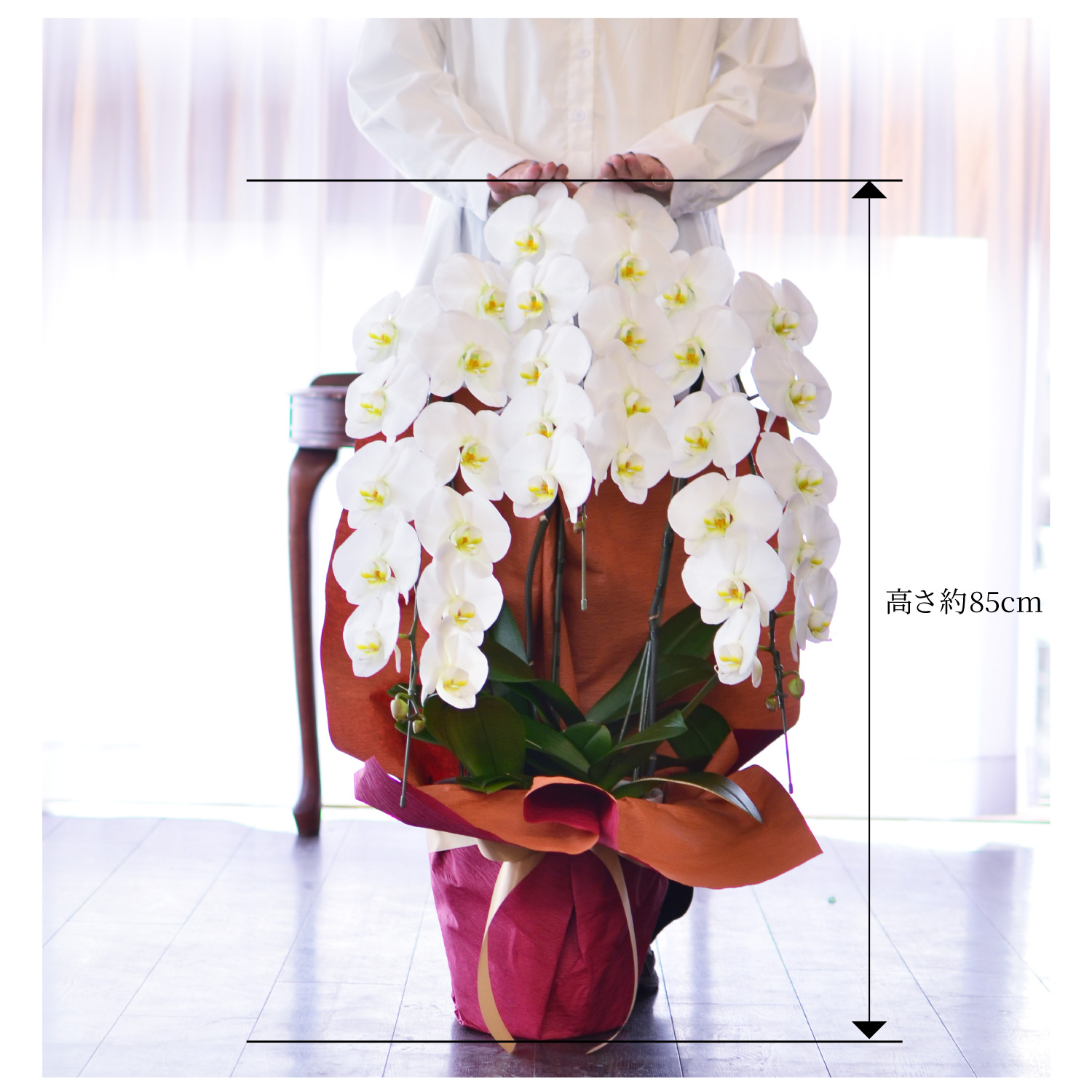 �Ӓ���3�{��35�ֈȏ�