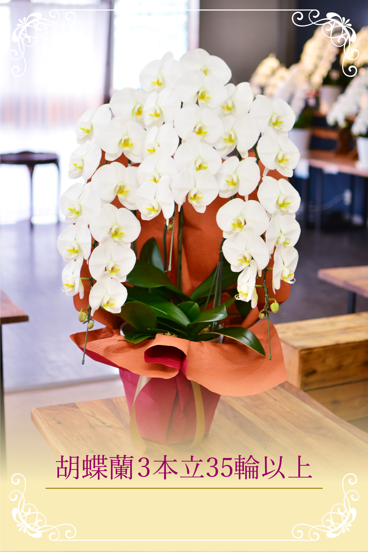 �Ӓ���3�{��35�ֈȏ�