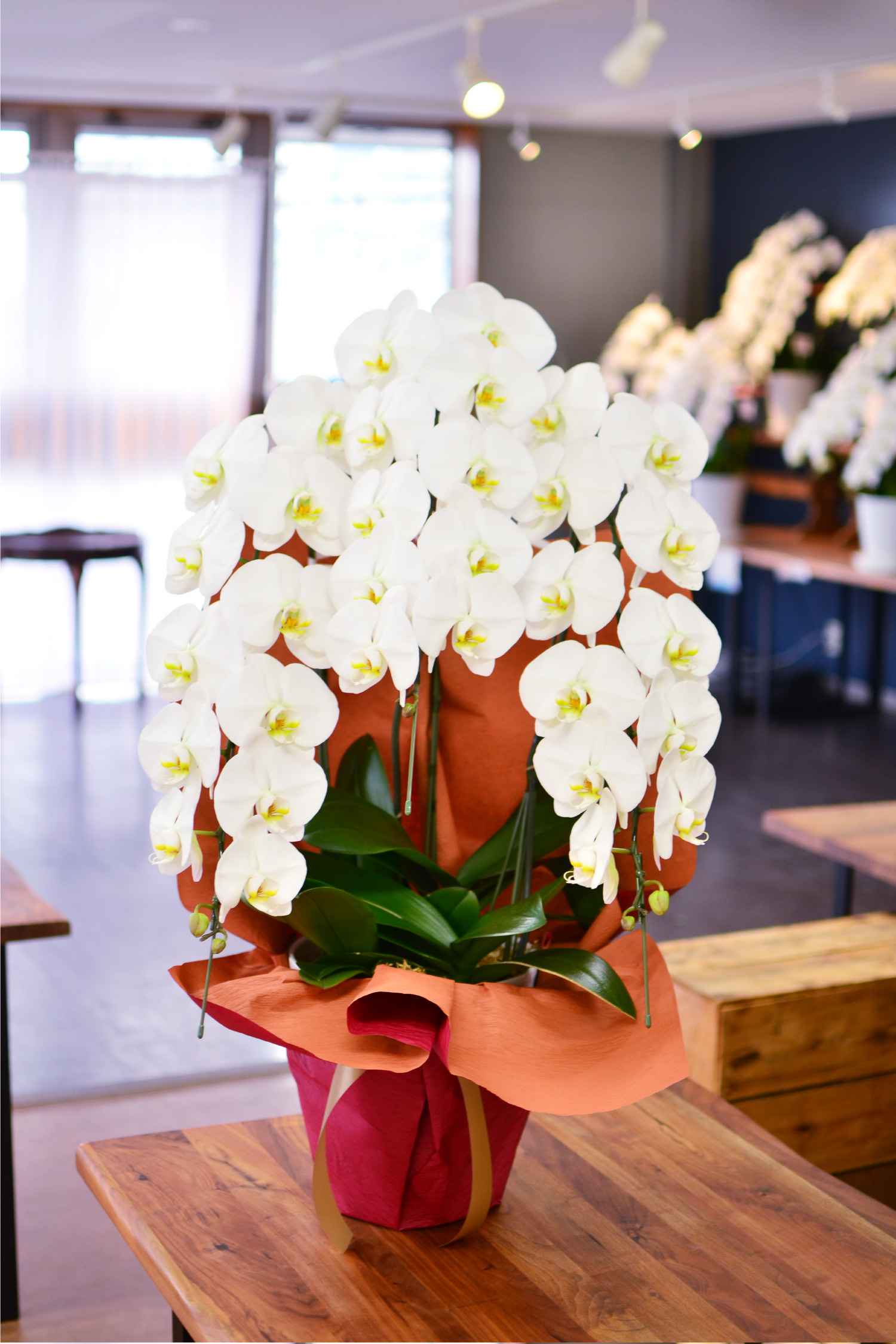 �Ӓ���3�{��35�ֈȏ�