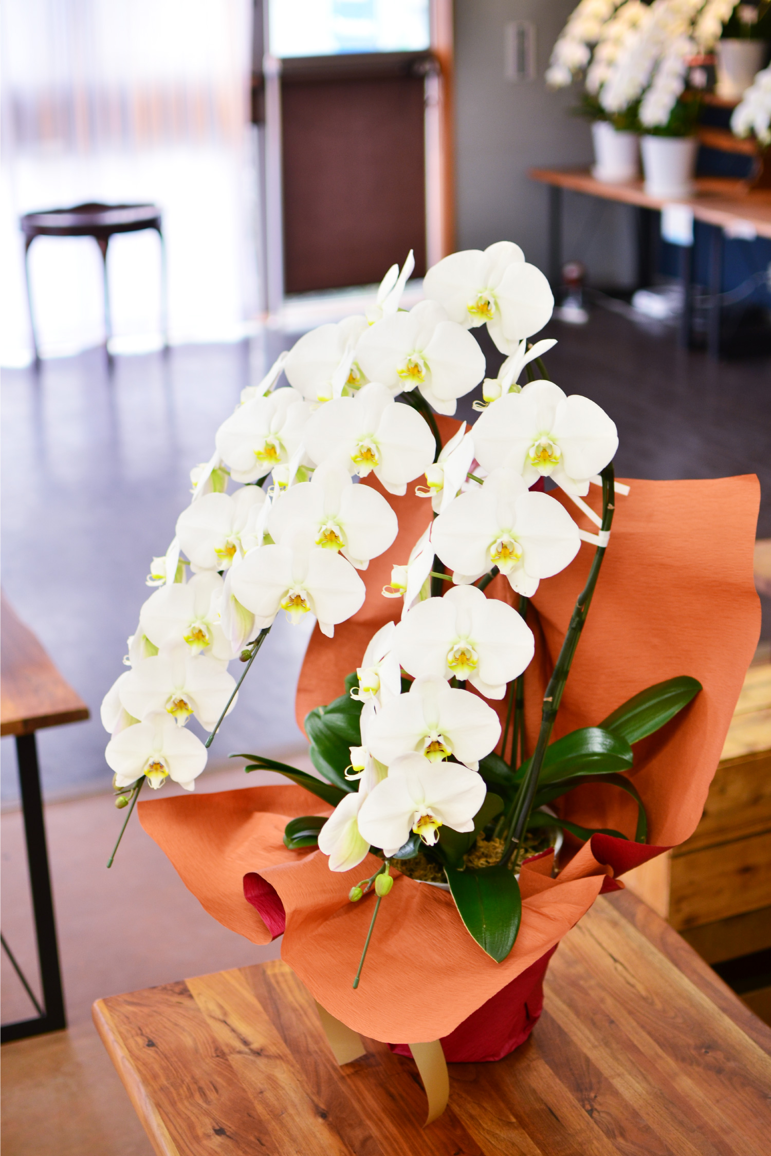 �Ӓ���3�{��35�ֈȏ�