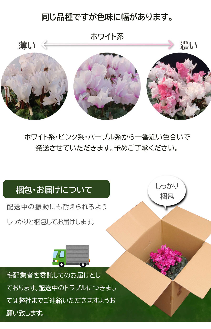 �F���ɕ�������܂�