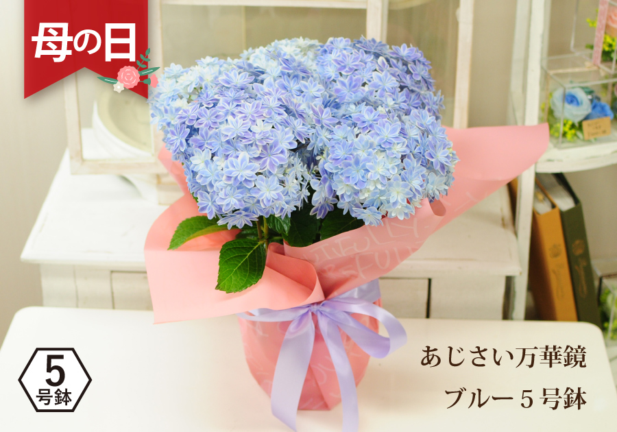  ؋ 5 z AWTC d炫
