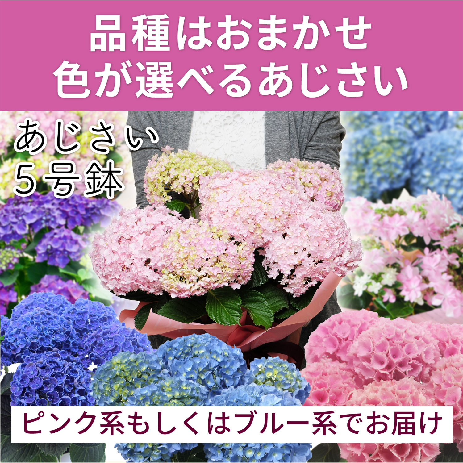 ���܂�����������