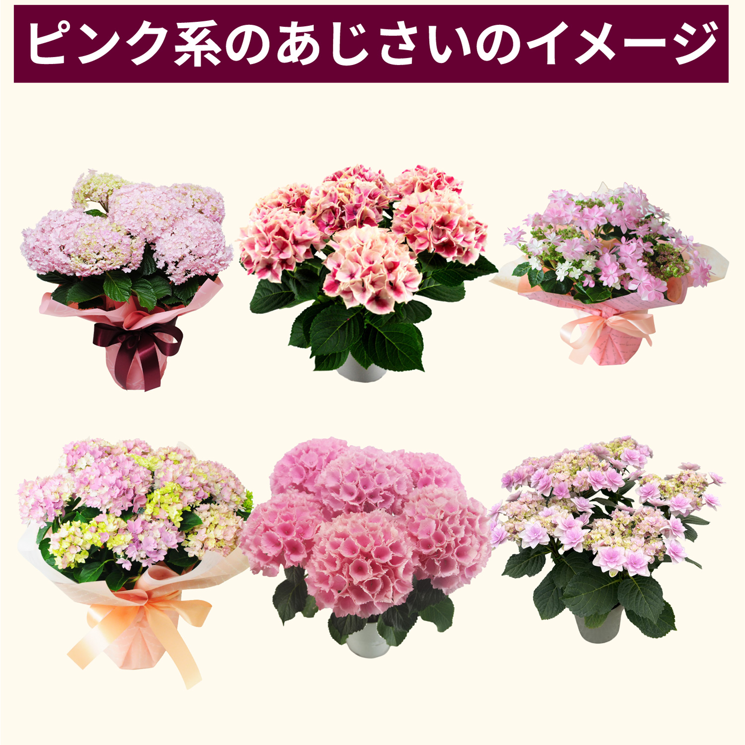 �s���N�n���������̃C���[�W