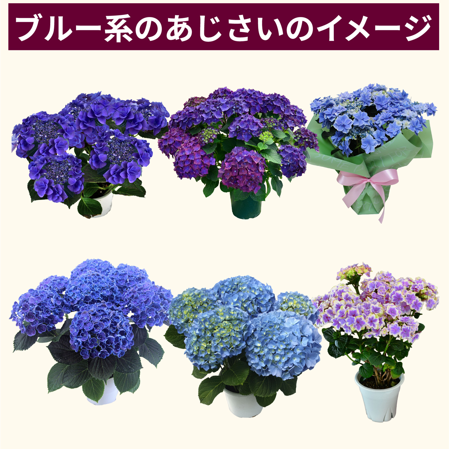 �u���[�n���������̃C���[�W