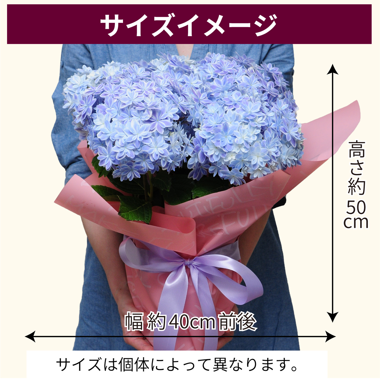 �T�C�Y�C���[�W