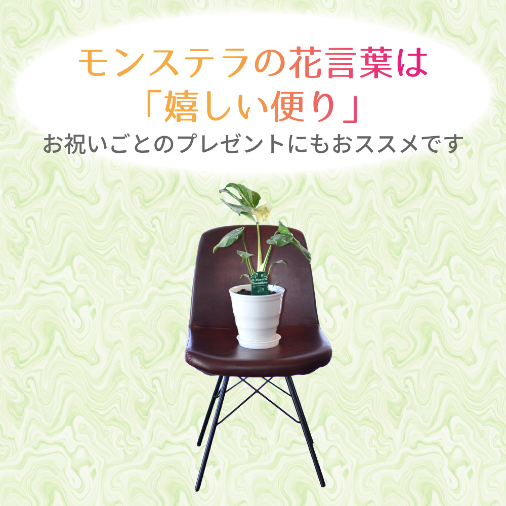 �����胂���X�e��