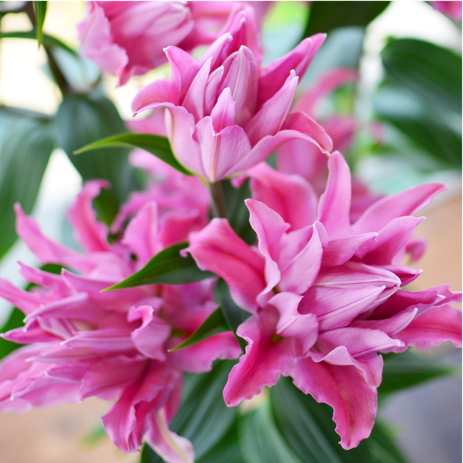 �J�_���S���d�����A�b�v