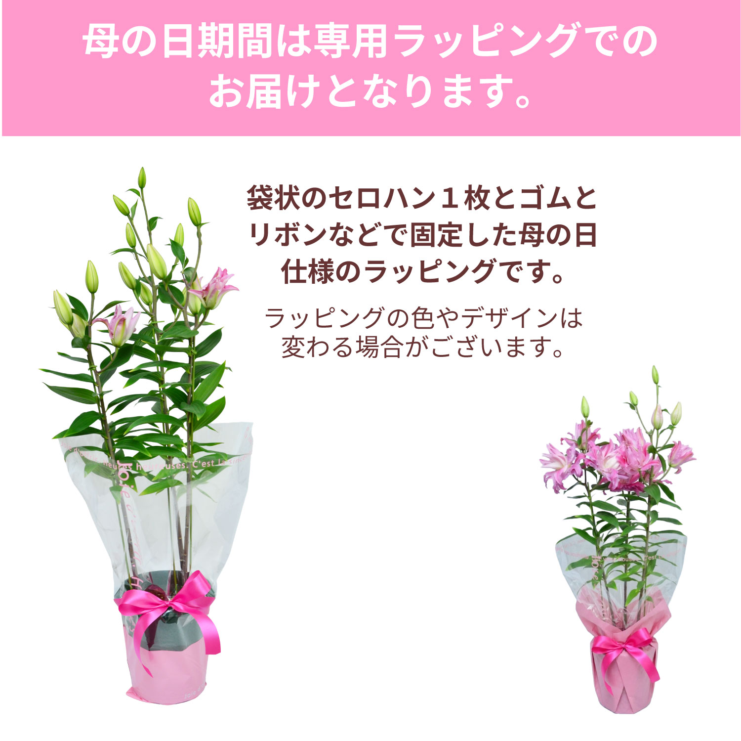 �J�_���S���d�������b�s���O