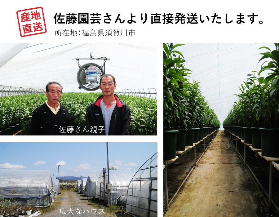 �J�_���S���d�����������|