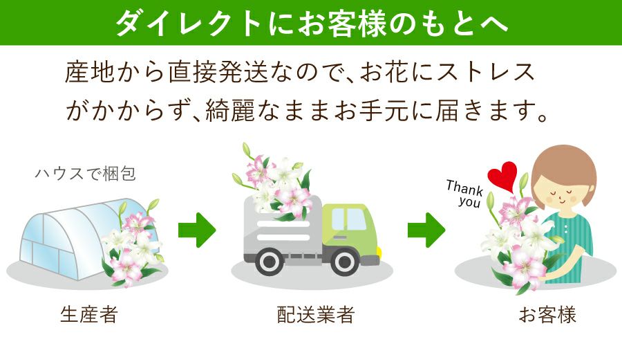 �J�_���S���d�����Y�n����