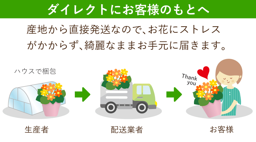 ���������z �Y��