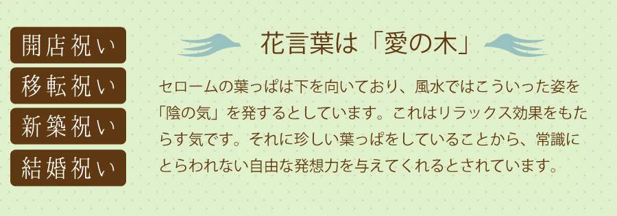 ϗtAZ[6