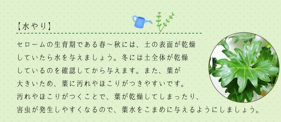 ϗtAZ[6