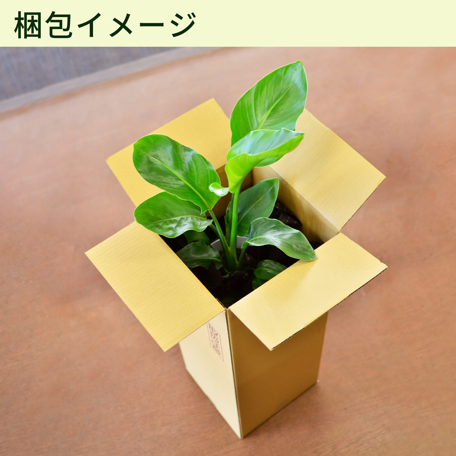 ���b�s���O�C���[�W