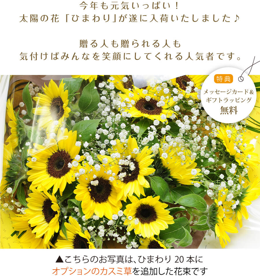 誕生日 プレゼント 花束 ひまわりブーケ2L 花束 ひまわり(向日葵