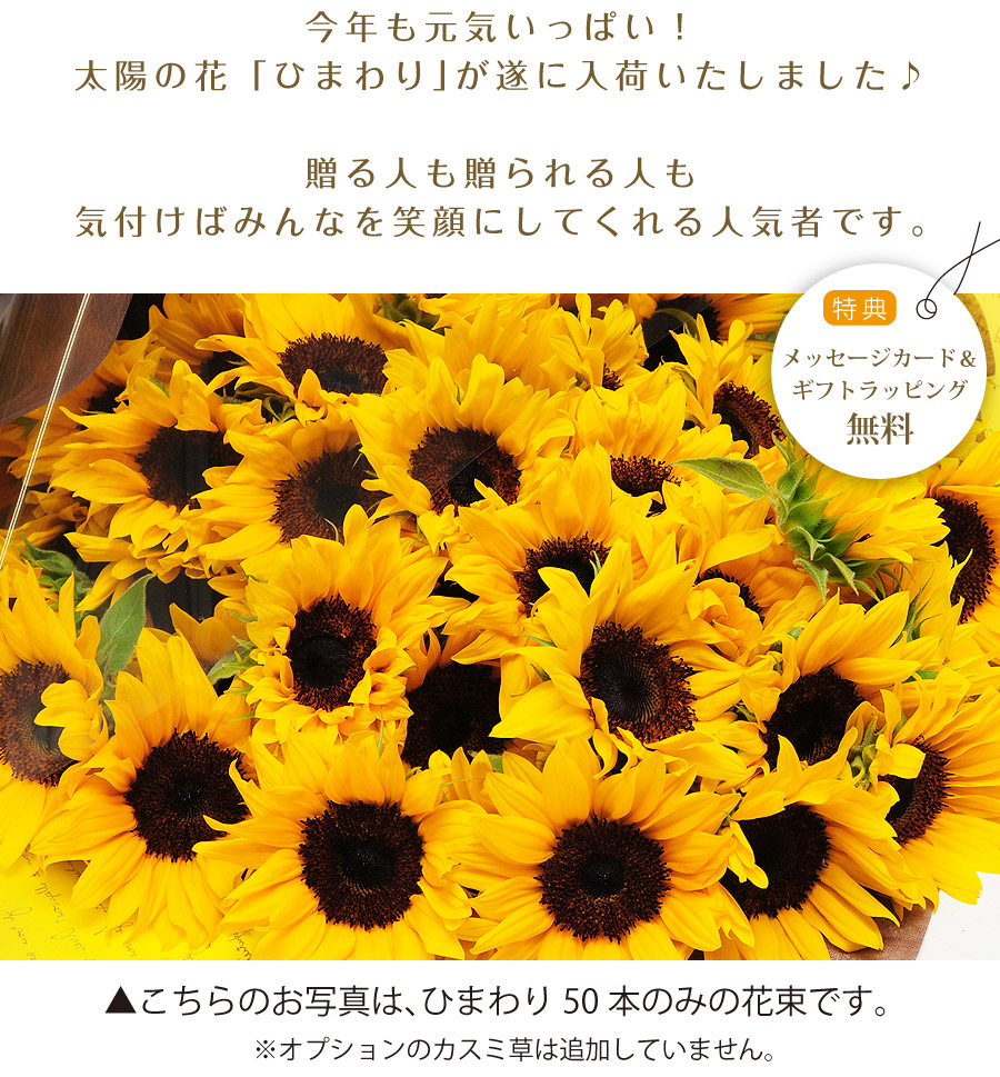 ひまわりブーケ50本 誕生日 プレゼント ひまわり 向日葵 ヒマワリ 50本の花束 フラワーギフト ひまわりの花贈り エーデルワイス 花の贈り物 フラワーギフト通販 花宅配 水戸市