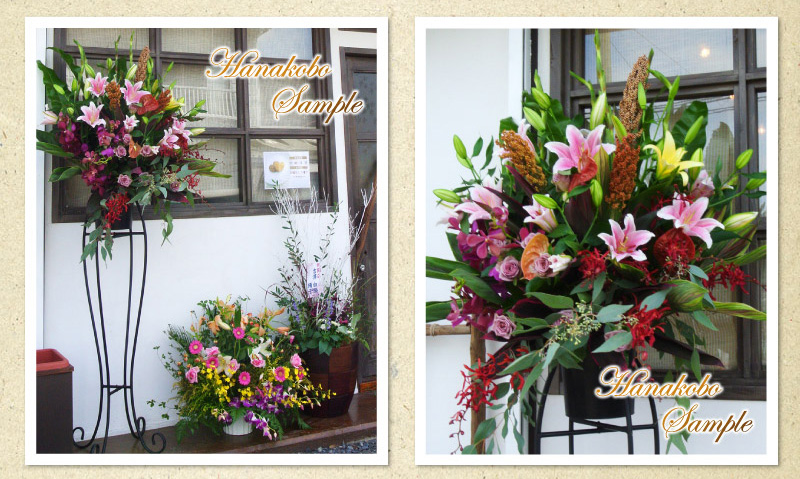 開店、開業祝いに送る花。スタンド花、胡蝶蘭、寄せ鉢、アレンジメント等