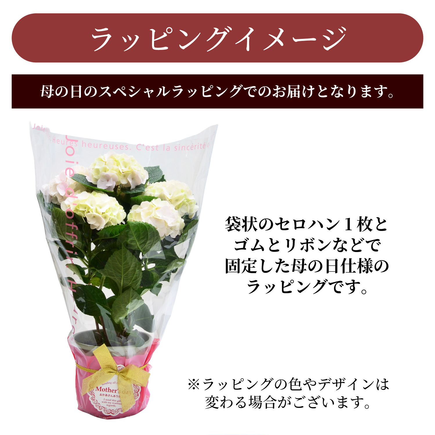 ���������R�b�g���L�����f�B���b�s���O�C���[�W