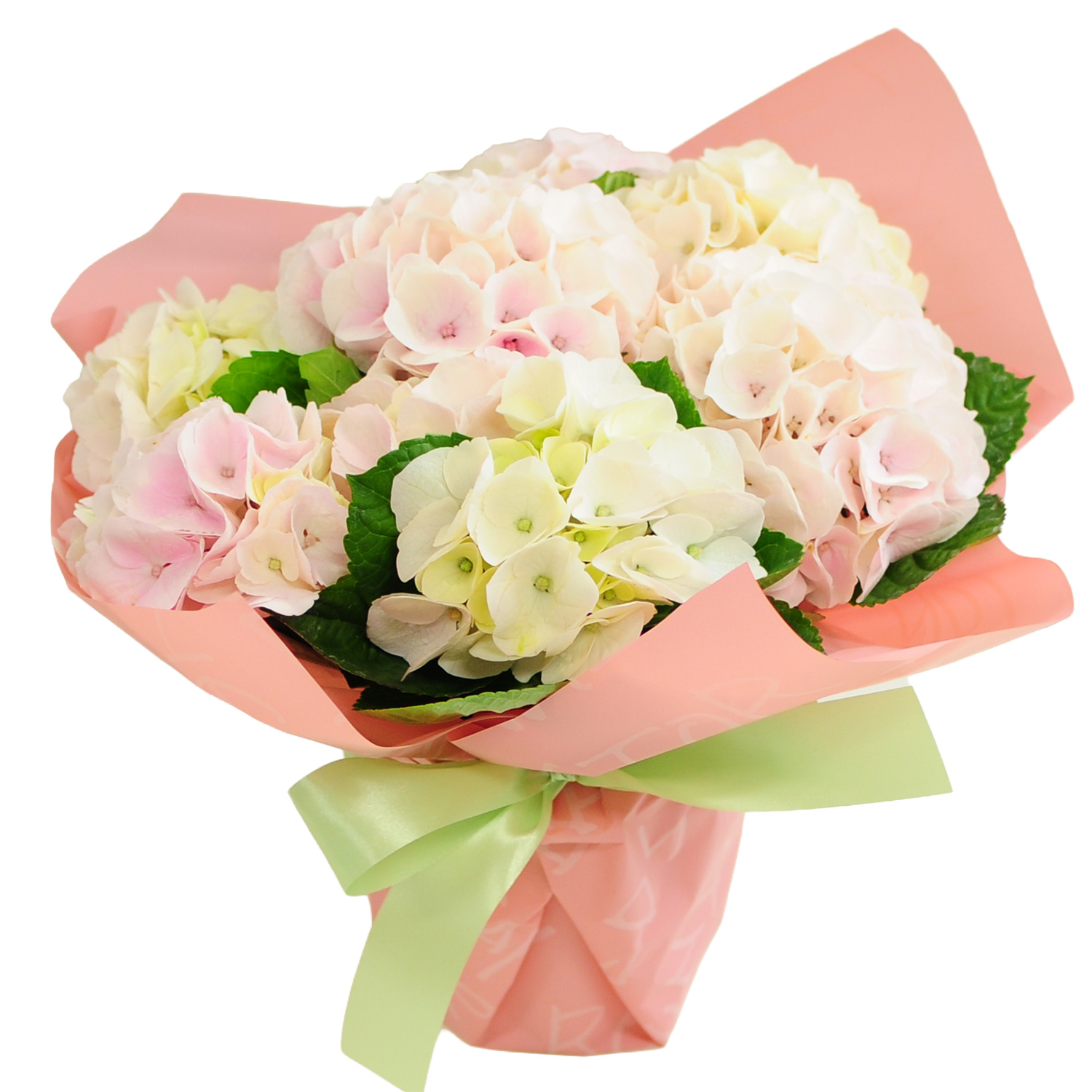 ���������R�b�g���L�����f�B�C���[�W