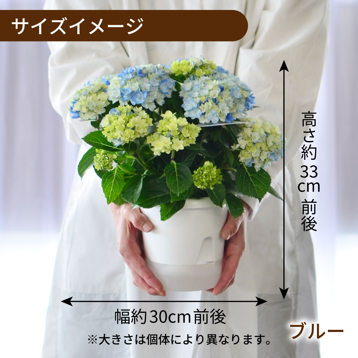 �T�C�Y�C���[�W�^�s���N