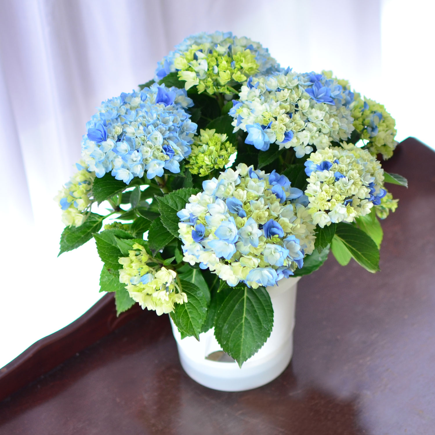 �C���[�W �s���N