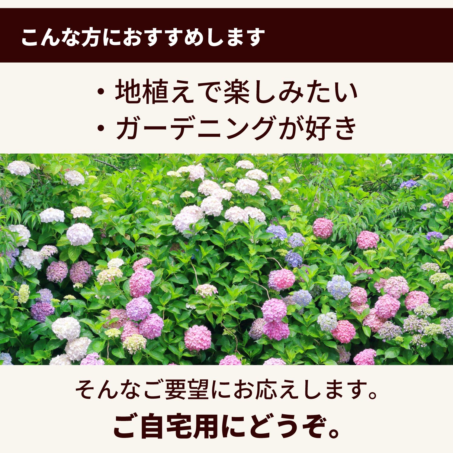 �K�[�f�j���O�D���ȕ���