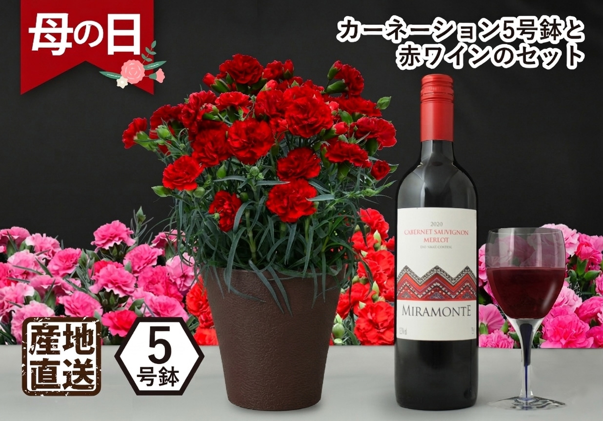 �J�[�l�[�V�����ƃ��C��