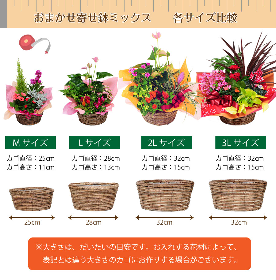 おまかせ寄せ鉢ミックス 3lサイズ 寄せ鉢 季節の鉢花セット かご付き エーデルワイス 花の贈り物 フラワーギフト通販 花宅配 水戸市