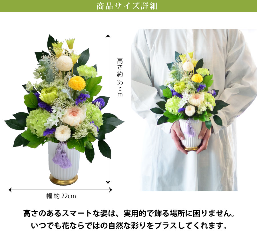 �������v���U�[�u�h�t�����[���i�������j