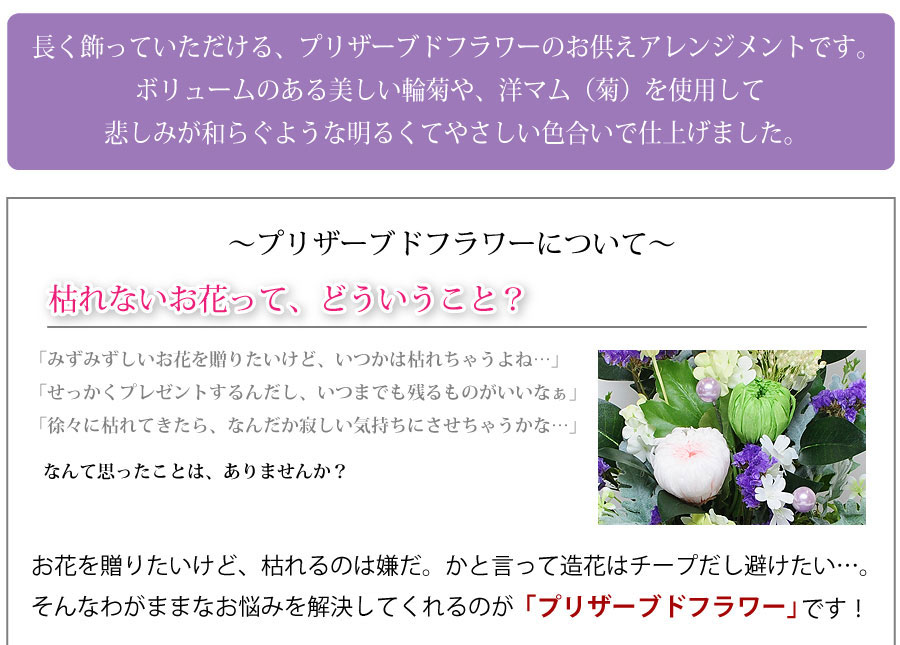 �������v���U�[�u�h�t�����[ ��