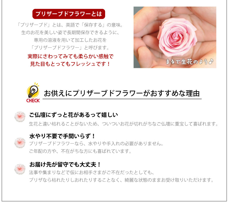 �������v���U�[�u�h�t�����[ ��