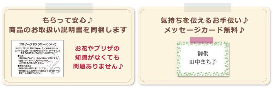 �������v���U�[�u�h�t�����[ ��