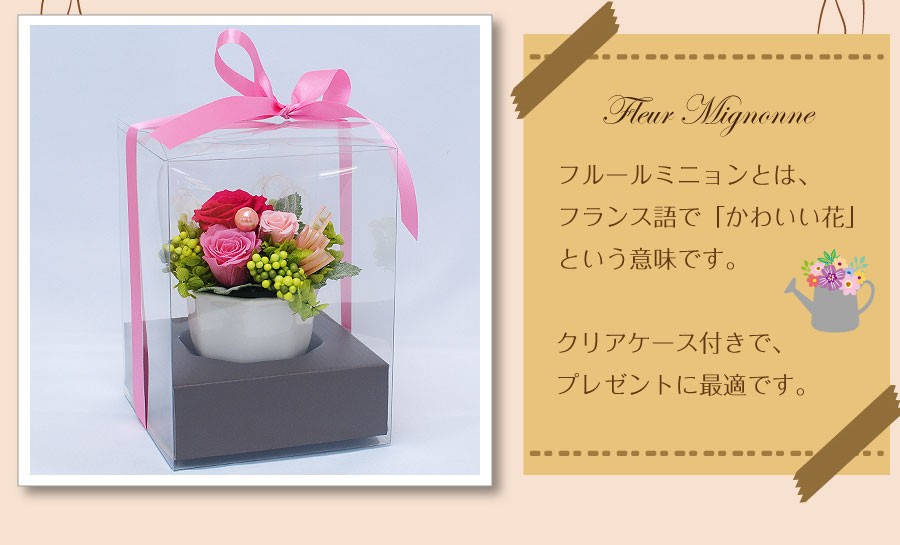 プリザーブドフラワー フルールミニョン スイーツセット クリアケース入り プリザーブドフラワー エーデルワイス 花の贈り物 フラワーギフト通販 花宅配 水戸市 プリザーブドフラワー フルールミニョン スイーツセット クリアケース入り プリザーブドフラワー エーデルワイス 花の贈り物 フラワーギフト通販 花宅配 水戸市