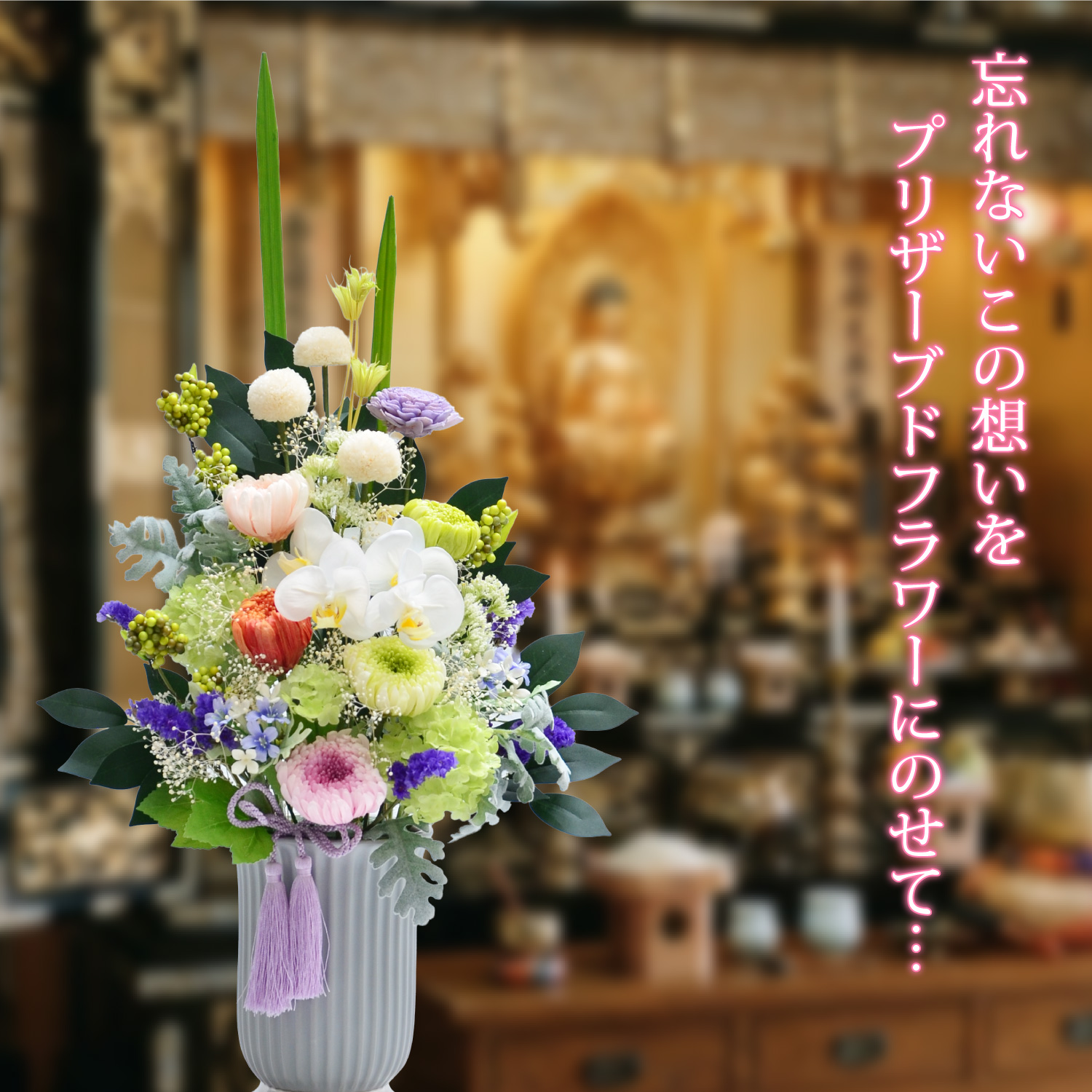 �������v���U�[�u�h�t�����[ �v��