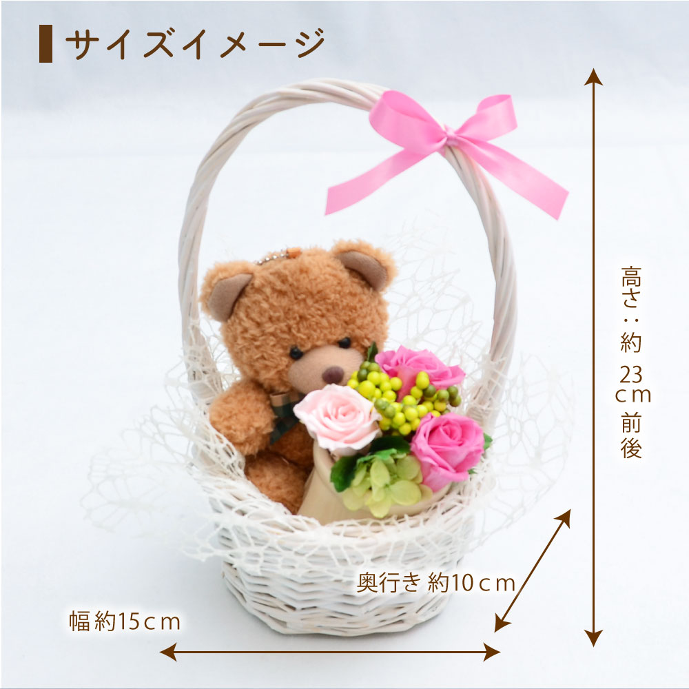 ���u���[�x�A�[