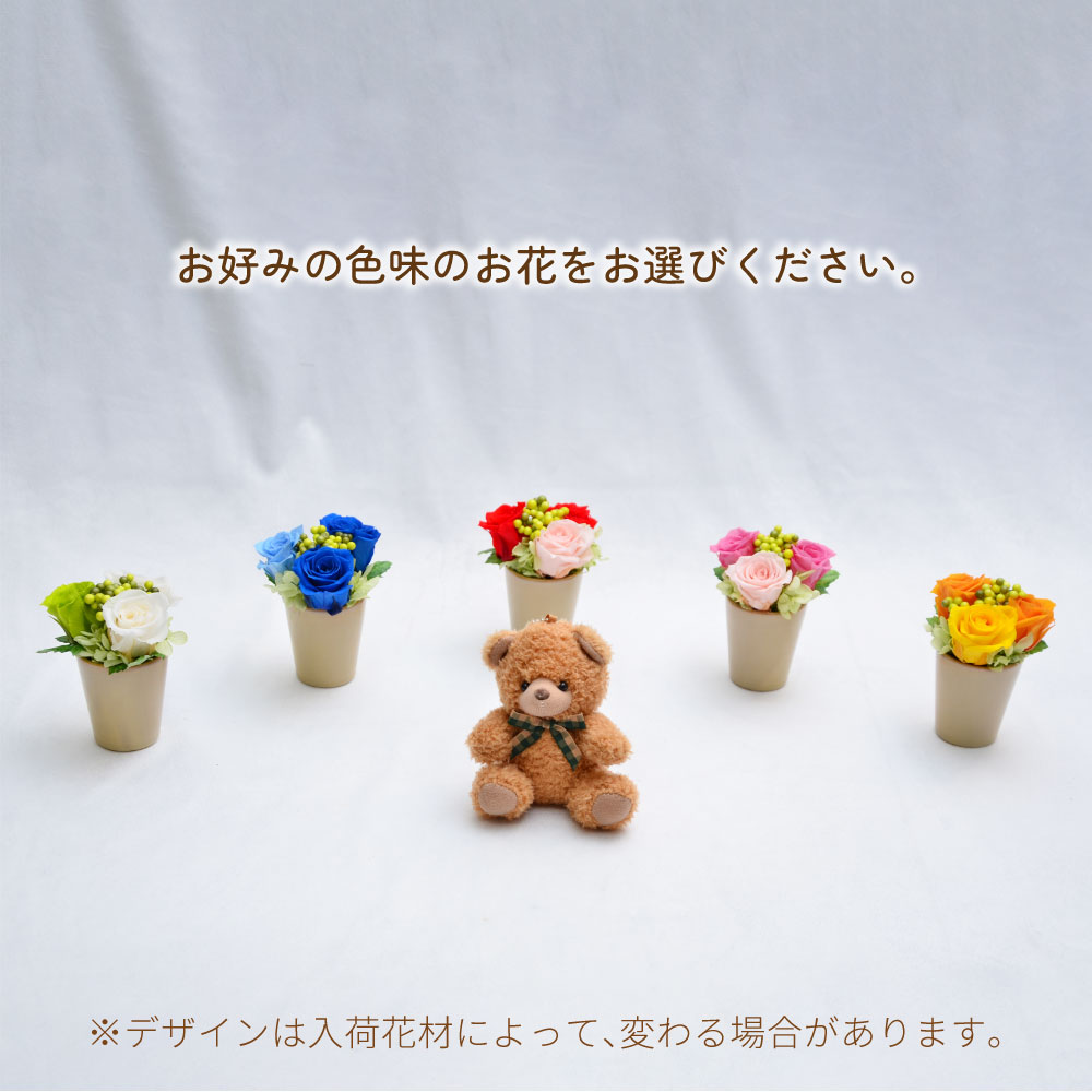 ���u���[�x�A�[