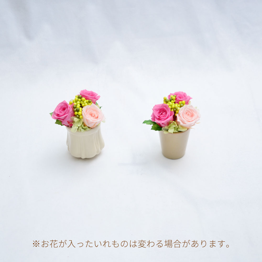 ���u���[�x�A�[ �e�킪�ς��