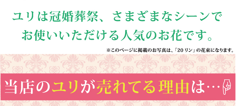 豪華大輪系 ピンクユリ 20輪以上の花束 百合 ゆり ユリ 花束 豪華大輪系ピンク百合(ユリ・ゆり)の花束ギフト | エーデルワイス【花の贈り物】  フラワーギフト通販 花宅配 水戸市