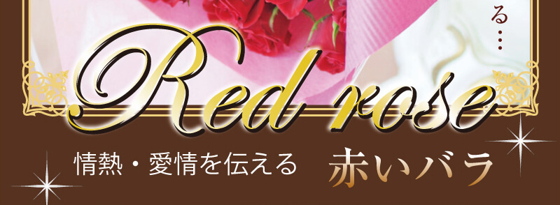 赤いバラ(薔薇、ばら)RedRose