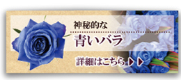 青いバラ ブルーローズの花束