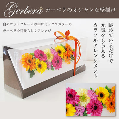 Gerbera K[x̃IVȕǊ| vU[uht[ t[ AWg 蕨 CeA Jt Mtg