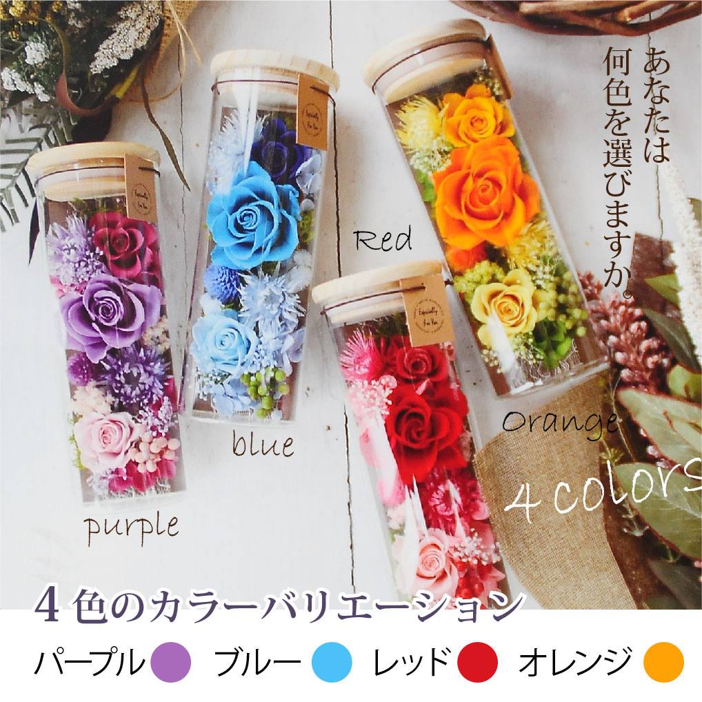 プリザーブドフラワー シュシュ プリザーブドフラワー エーデルワイス 花の贈り物 フラワーギフト通販 花宅配 水戸市 プリザーブドフラワー シュシュ プリザーブドフラワー エーデルワイス 花の贈り物 フラワーギフト通販 花宅配 水戸市
