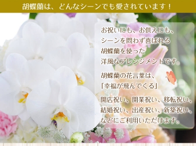 花 お供え用  一周忌 三回忌 キリスト教の供花　胡蝶蘭の洋風アレンジメントLサイズ