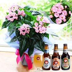 におい桜 5号鉢と常陸野ネストビール(瓶) 3本セット