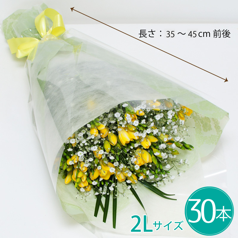 フリージアの花束 2lサイズ 春の花贈り エーデルワイス 花の贈り物 フラワーギフト通販 花宅配 水戸市