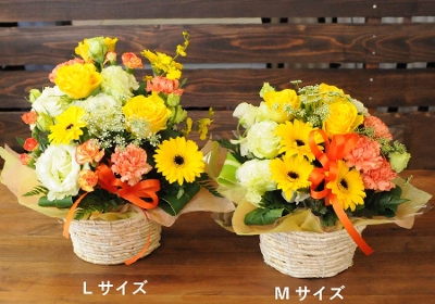 お見舞い 花 アレンジメント/イエロー(黄色)/アリスイエロー/フラワーギフト