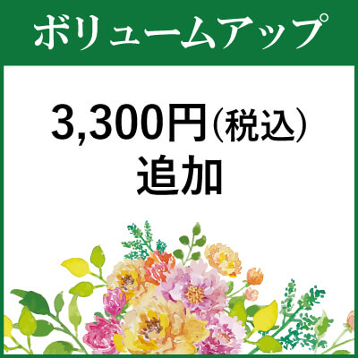 Ԃ̃{[Abv